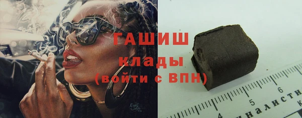 спиды Гусев