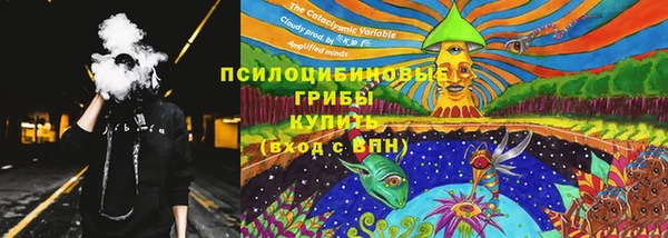 спиды Гусев