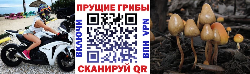 Галлюциногенные грибы мухоморы  Купить  Иннополис 